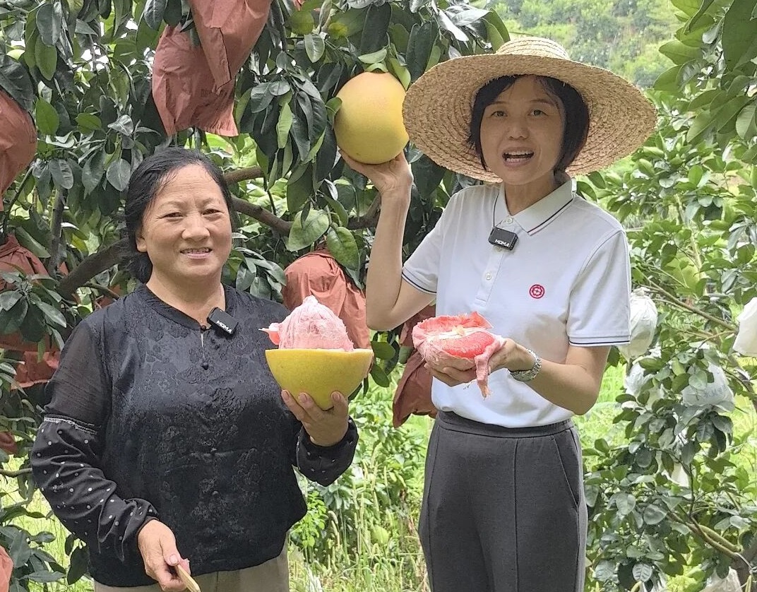 「莞韶同心」  電商助農迎豐收