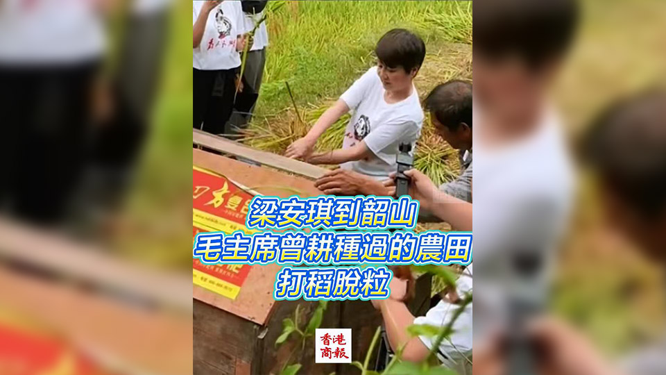 有片 | 梁安琪到韶山毛主席曾耕種過的農田 打稻脫粒