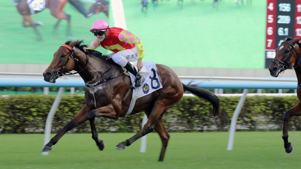 有片｜「祝願」捧走慶典盃 霍宏聲：尚未展露真正實力