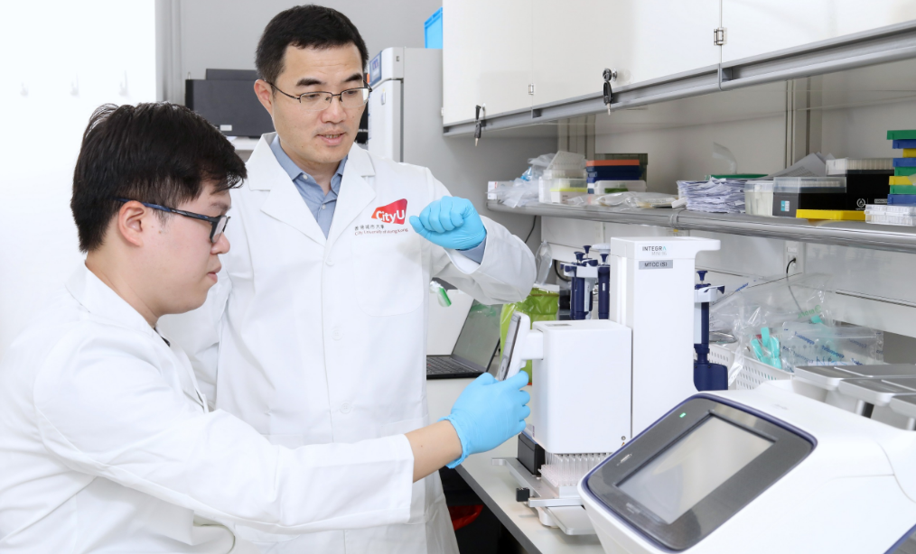 城大研發嶄新「DNA手術」 為心肝遺傳病提供更高效治療 