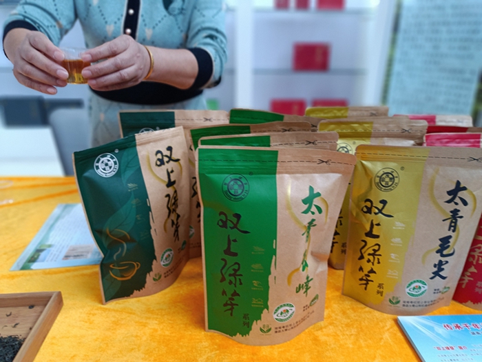 澧縣「太青雙上綠芽茶」：千年貢茶續寫輝煌