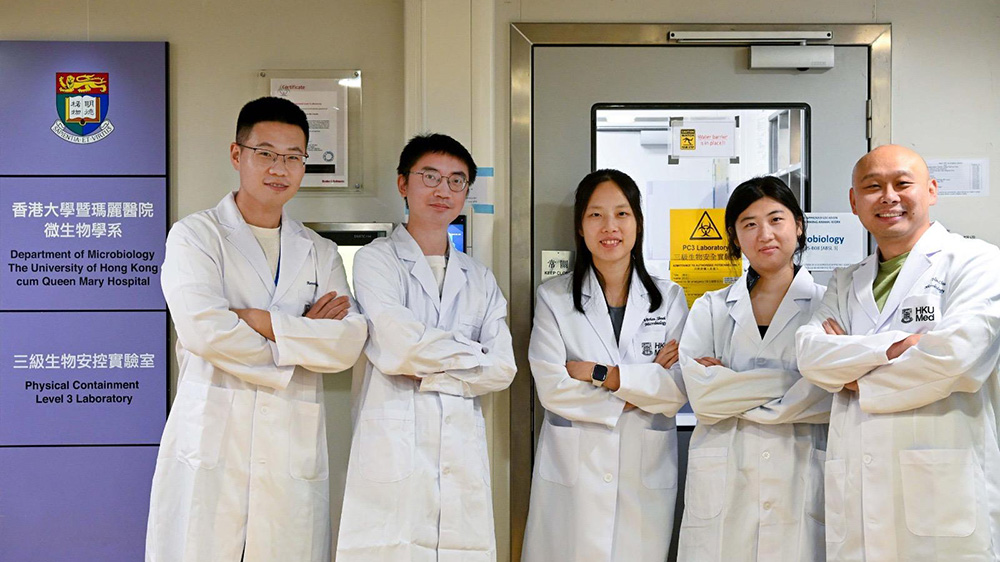 港大醫學院開發強效新型口服雙效抑制劑 對抗多種冠狀病毒