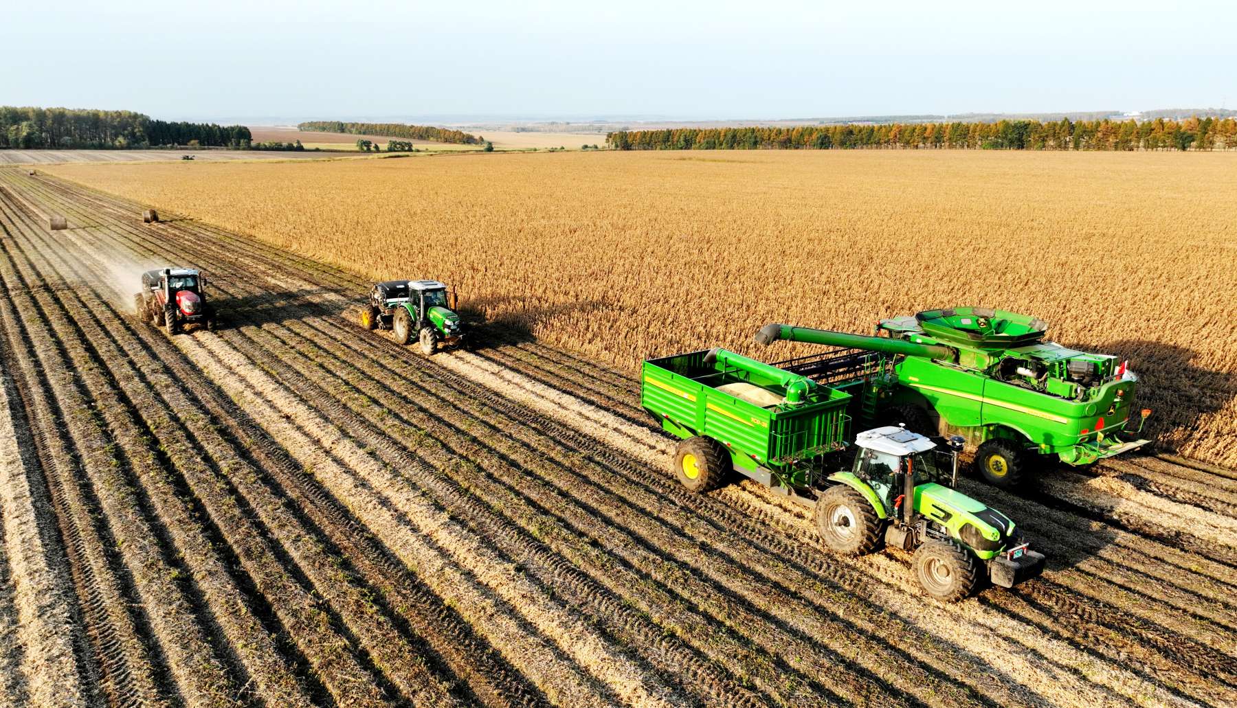 北大荒海倫農場打響秋收攻堅戰：機械化助力25.98萬畝作物顆粒歸倉