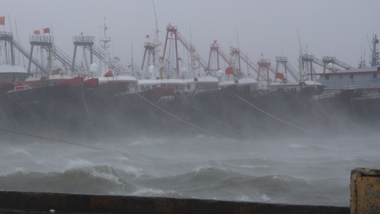 國家防減救災委對廣東海南啟動國家四級救災應急響應
