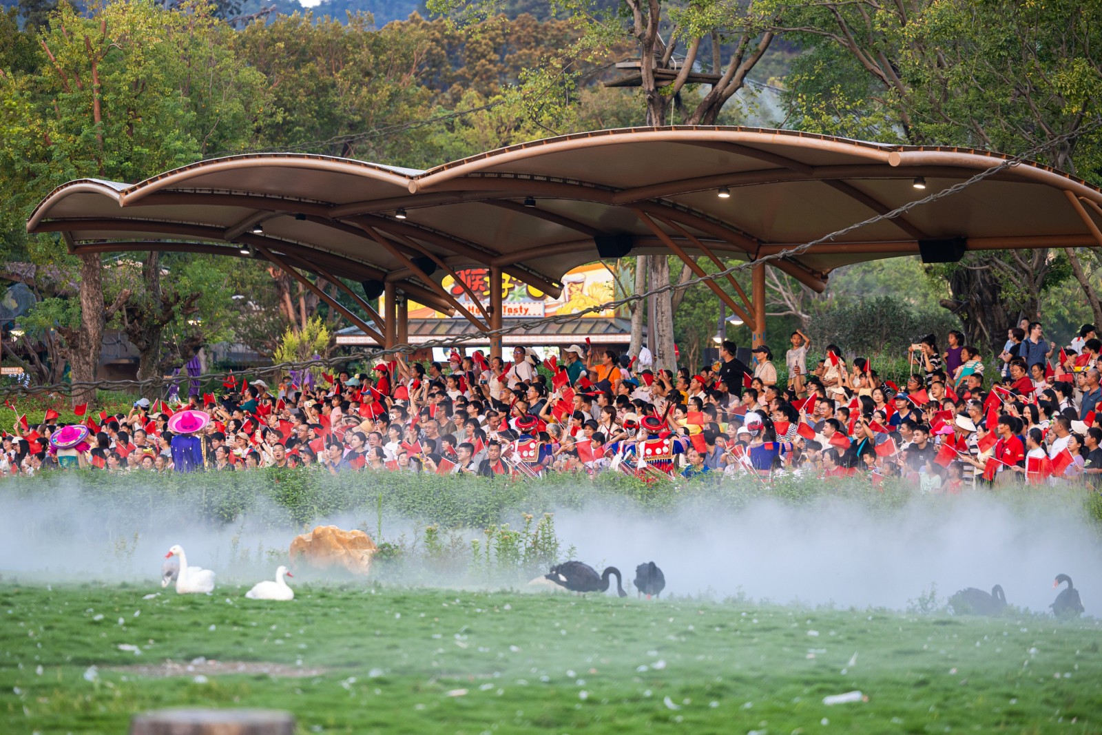 中秋特別活動  清遠長隆開啟非洲野趣之旅