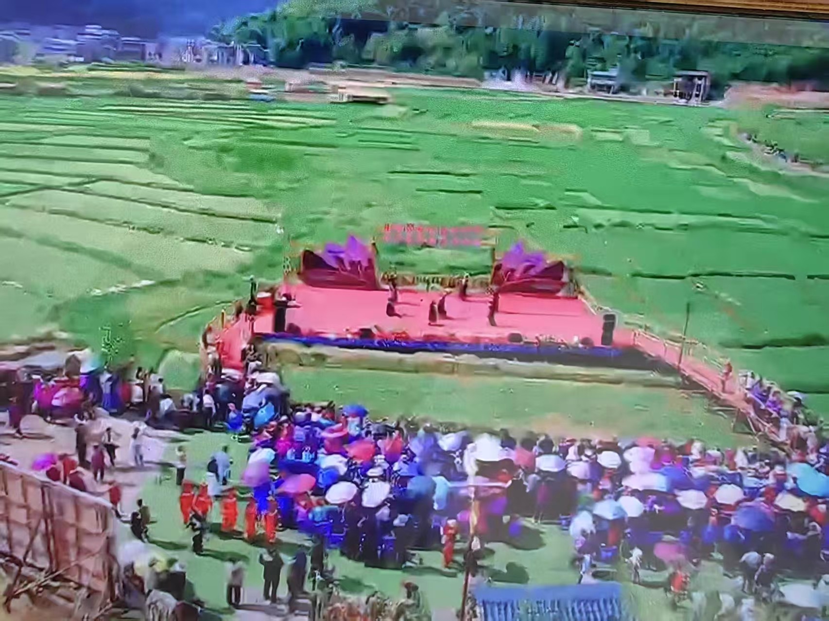 共慶豐收 多彩民俗「嘗新節」