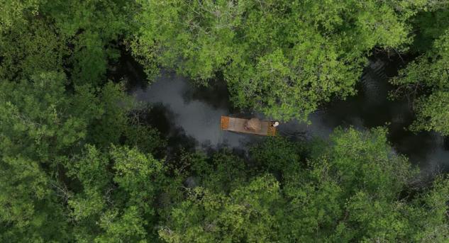 從「觀光」到「度假」  黃山「徽州游」掀「熱潮」