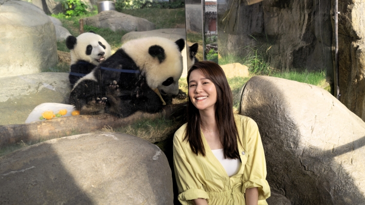 有片｜【娛樂】黃翠如製「冰月餅」 為熊貓寶寶賀中秋