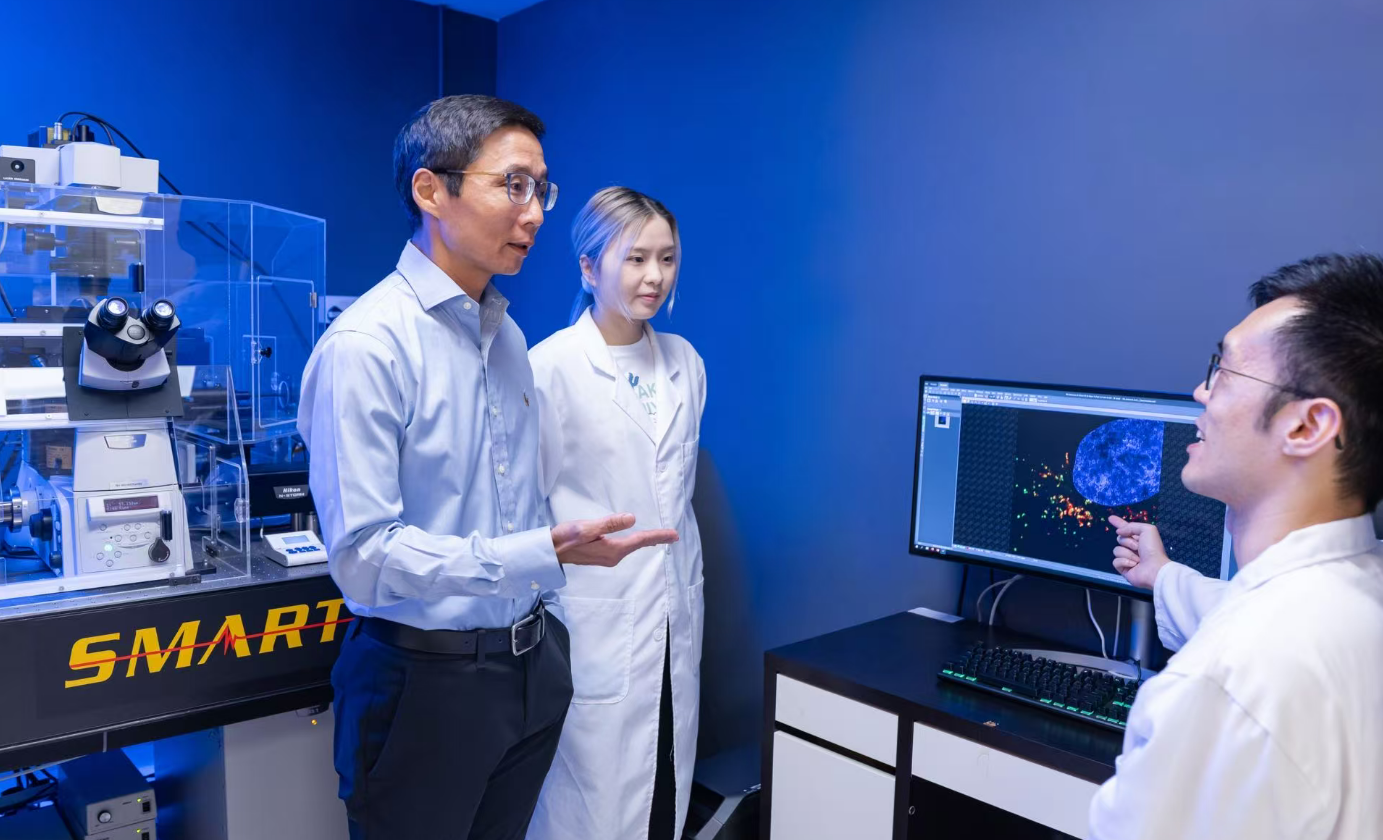 理大研究破解中藥提取物粉防己鹼關鍵標靶機制 有望為病毒感染、阿茲海默症提供新治療策略