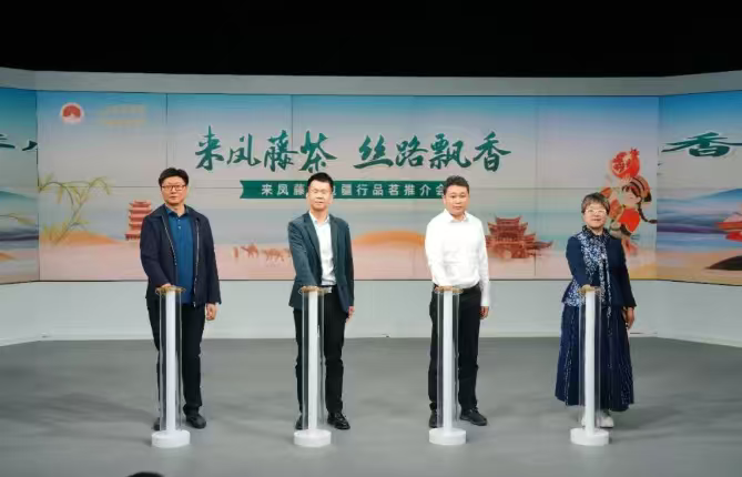 來鳳藤茶邊疆行活動書寫民族交融新答卷