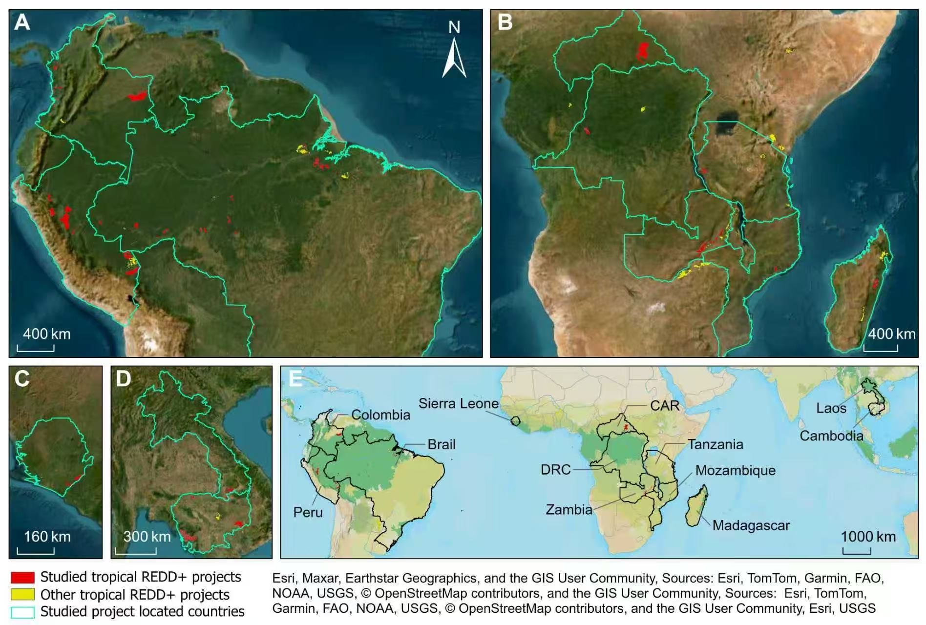 深大李清泉院士團隊science發文 破解熱帶森林碳信用爭議難題