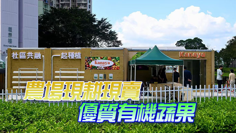 馬鞍山都市農場開幕 佔地2000呎生產沙律菜草莓等優質蔬果