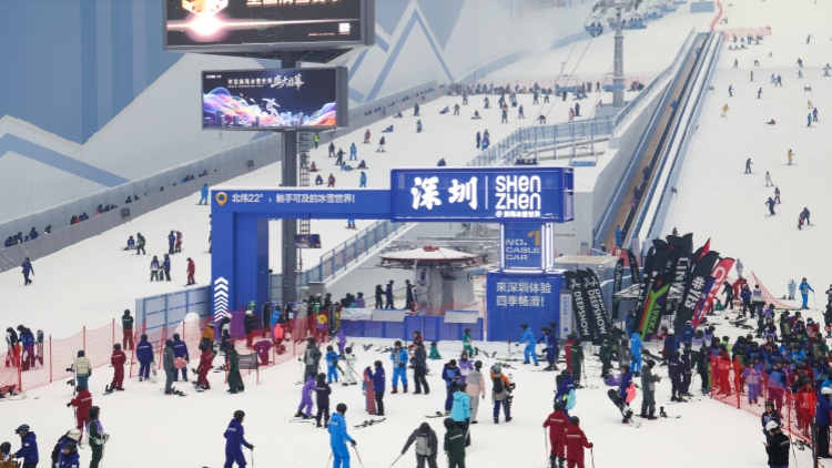 深圳稅局公布發票數據：國慶中秋假期消費市場活力足亮點多