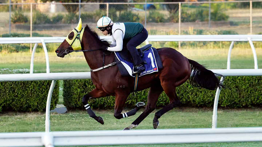 駁斥退出珠穆朗瑪峰錦標假消息 希斯：「嘉應高昇」準備就緒