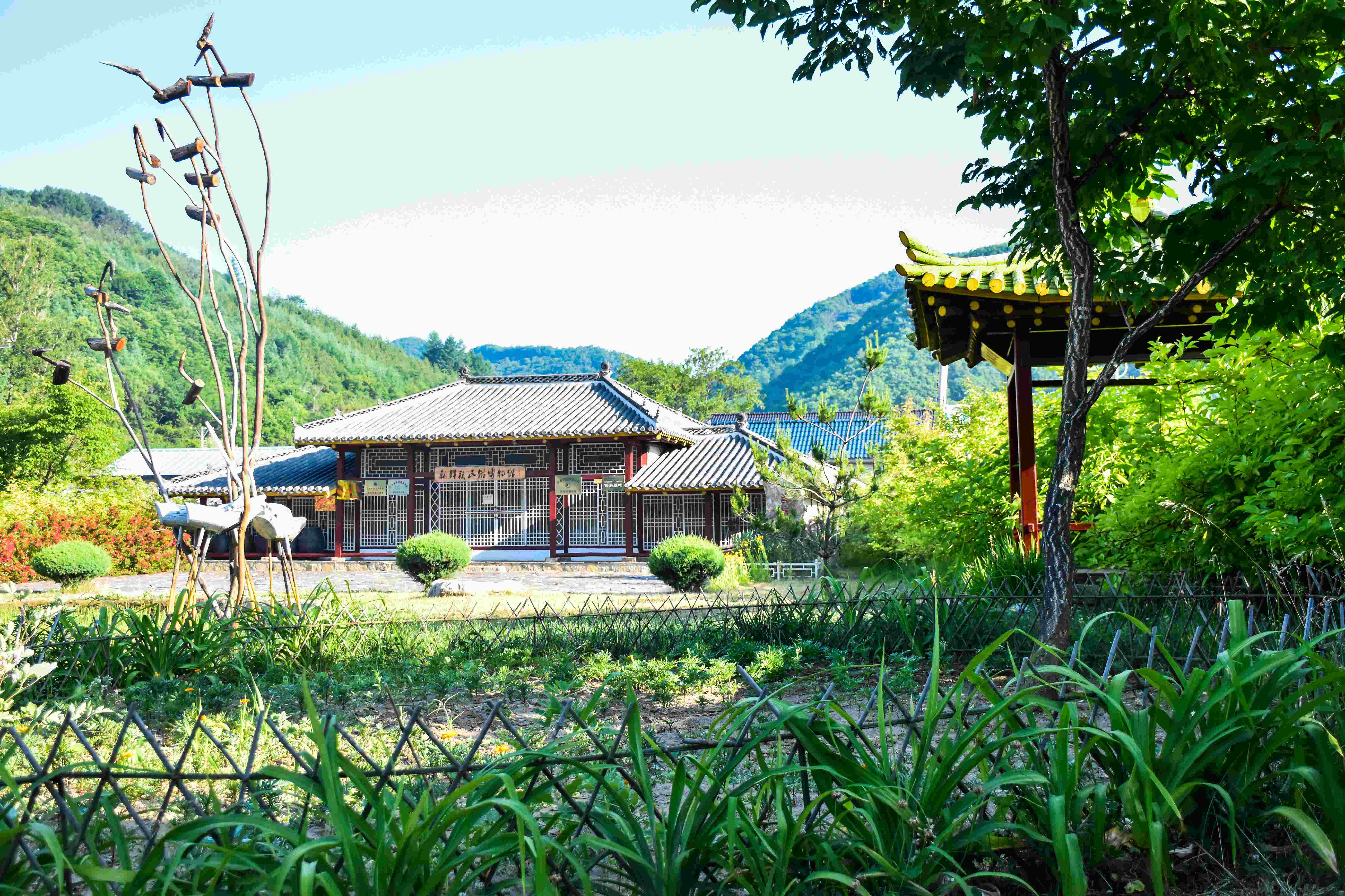 有片｜中朝邊境寶藏打卡地！三道河朝鮮族民俗村：拍民族大片 聽紅色故事