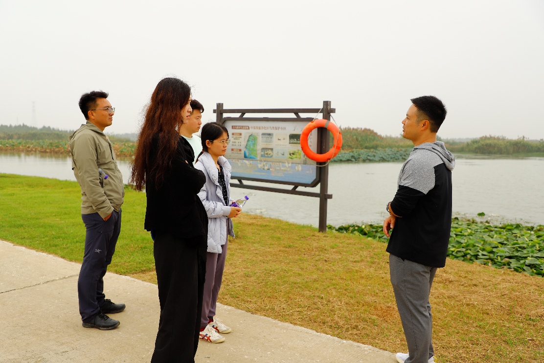 合肥十八聯圩濕地：生態課堂見證巢湖蝶變