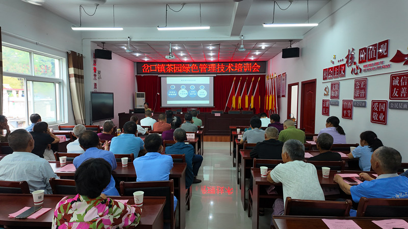 皖歙縣：培訓進茶區 茶園更「綠色」