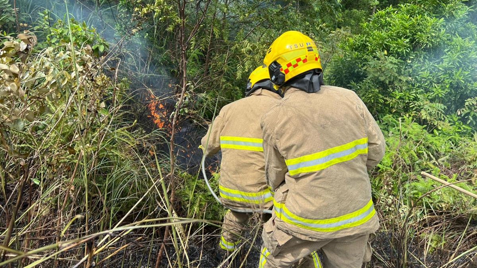 漁護署籲重陽節市民掃墓謹慎處理火種 防止發生山火