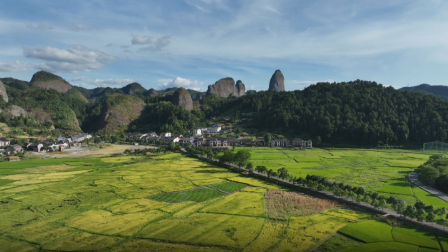 湖南新寧：名家赴「崀」尋秋韻 丹青妙筆賦丹霞