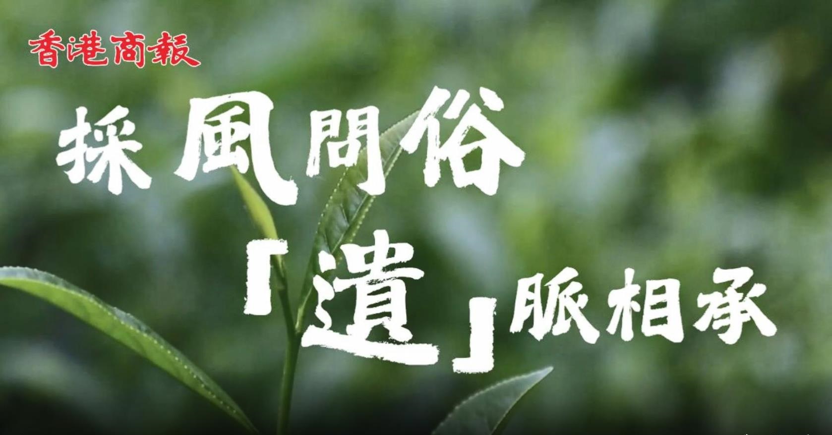 中英茶香飄廈門 非遺科技賦能中茶出海新藍圖 