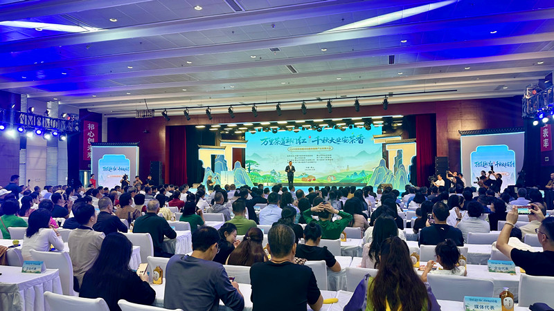 有片丨祁門紅·安茶香    黃山祁門舉辦2025安茶夜露活動暨茶健康產業發展大會