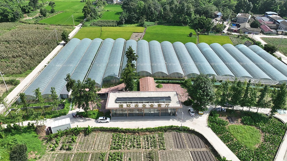 四川綿竹：酵素生態農業激活鄉村振興「新引擎」