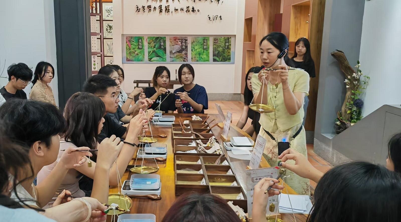 港澳青年在福建漳州開啟中醫藥文化之旅