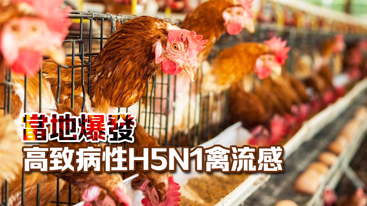 本港暫停進口加拿大和法國部分地區禽肉及禽類產品