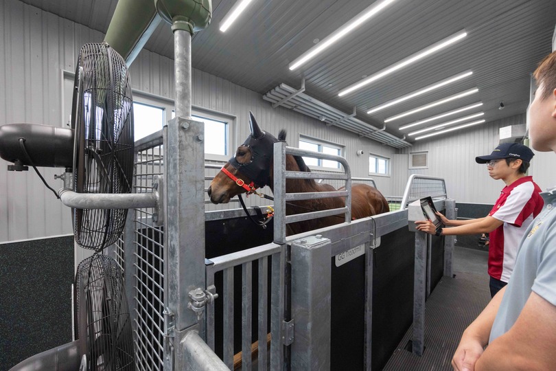 馬會翻新沙田馬場馬房及升級騎師訓練設施 有助維持香港全球純種賽馬運動地位