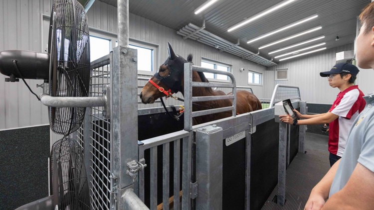 馬會翻新沙田馬場馬房及升級騎師訓練設施 助維持香港全球純種賽馬運動地位