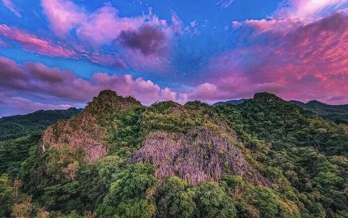 海南熱帶雨林國家公園：設立四周年交出亮眼成績單