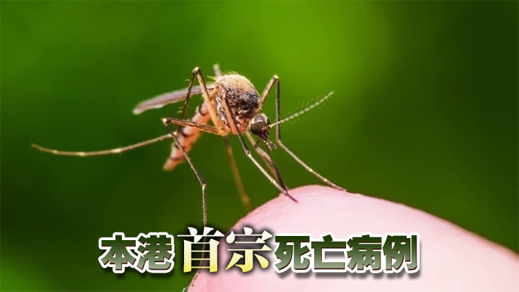 77歲長期病患男子確診基孔肯雅熱後 併發多個器官衰竭死亡