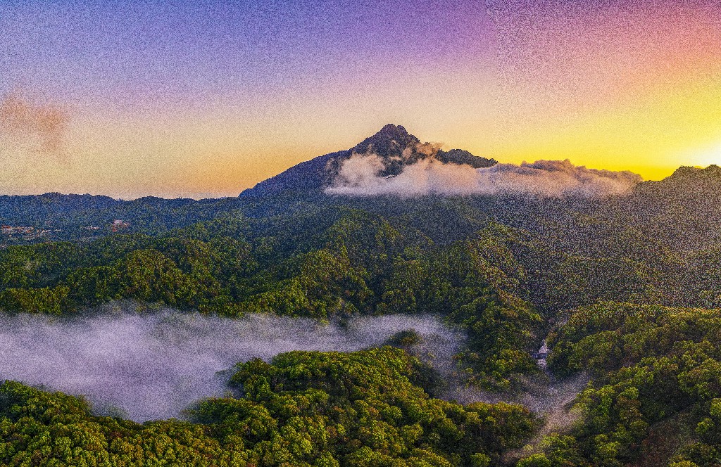 海南熱帶雨林國家公園 向世界展示中國生態文明的「綠色名片」