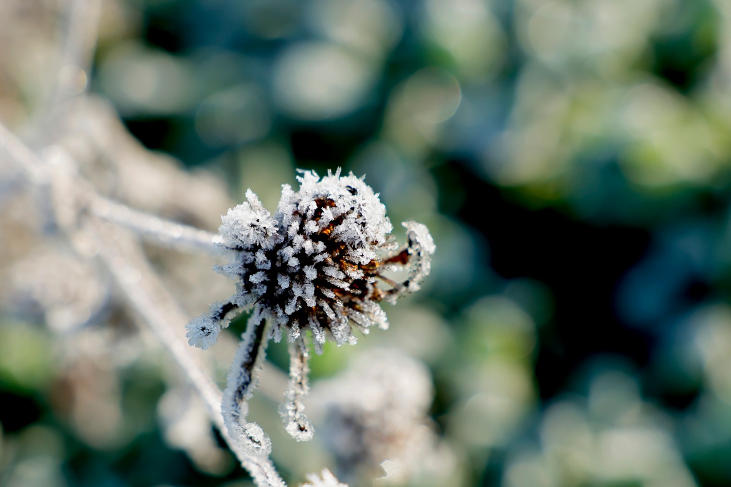 節氣專稿丨陳耀輝：霜降