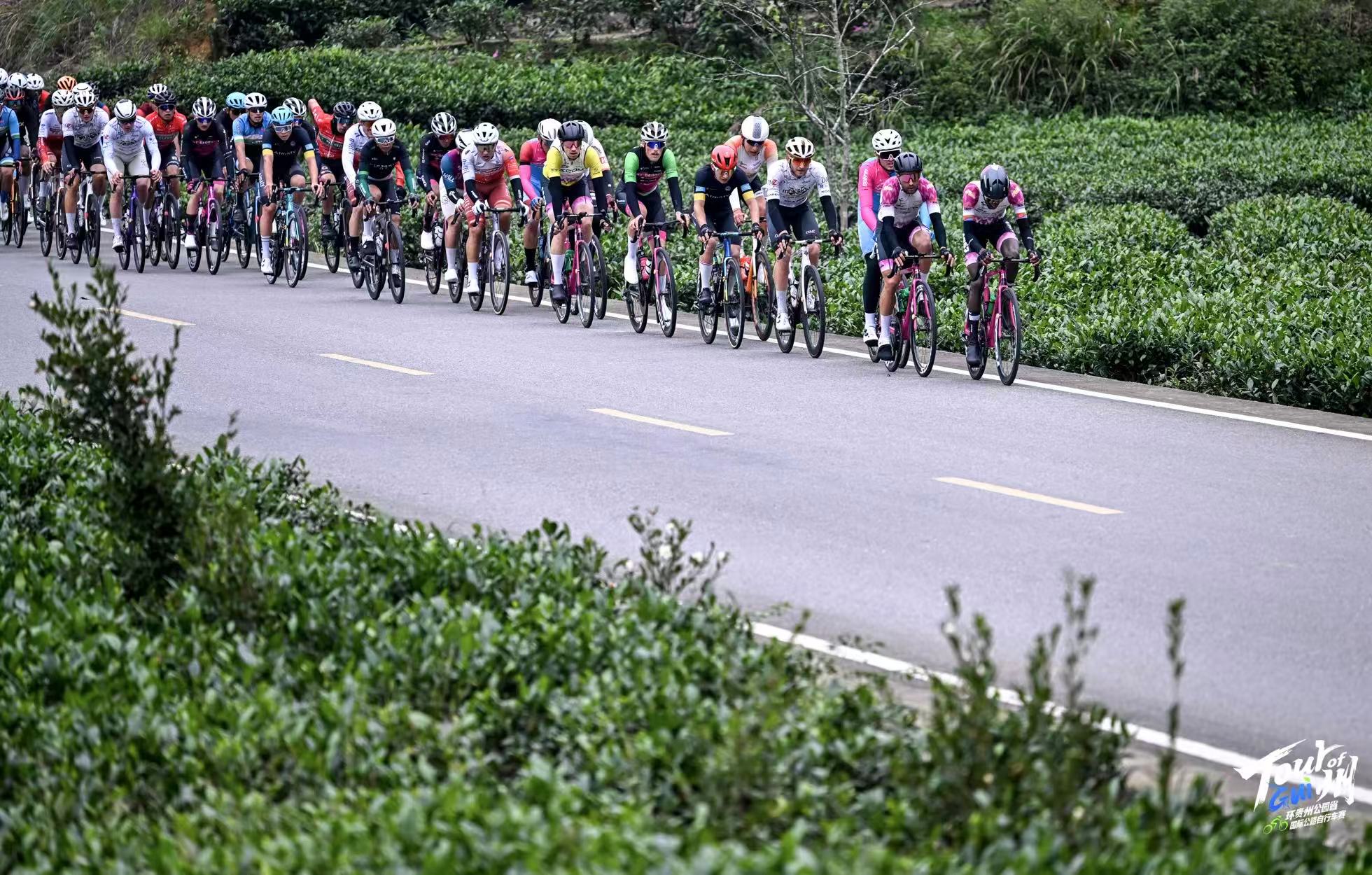 環貴州S5翠芽賽段185公里茶海對決完賽 首屆環貴州圓滿落幕