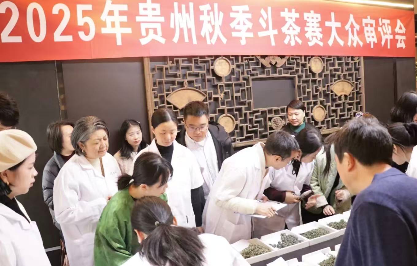 2025貴州秋茶鬥茶賽大眾評審掀起「舌尖風暴」
