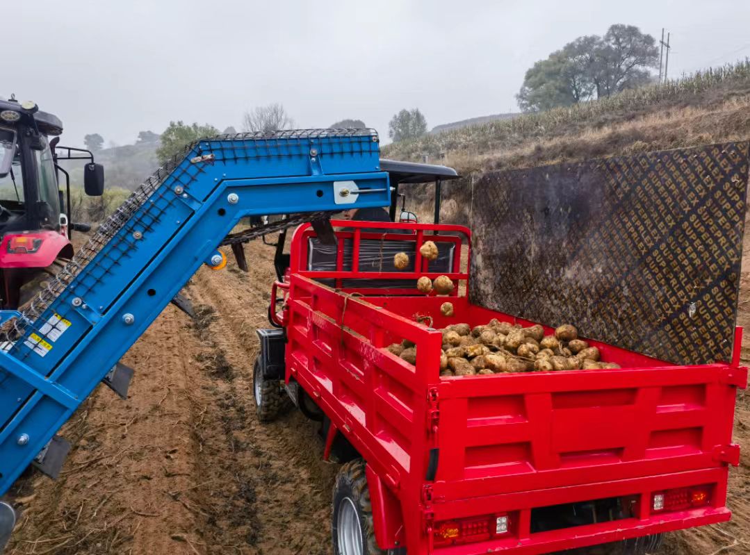 山西婁煩多措並舉助農作物喜獲豐收