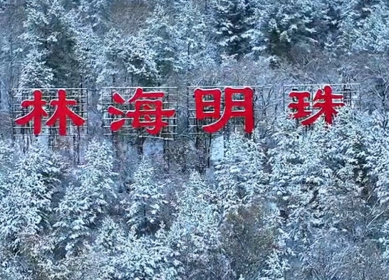 有片｜大興安嶺迎來首場大雪 開啟冰雪童話世界序章