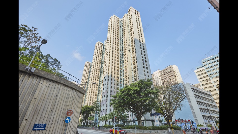 大二男生疑睇咸片致死 專家：性自縊於年輕人並不罕見