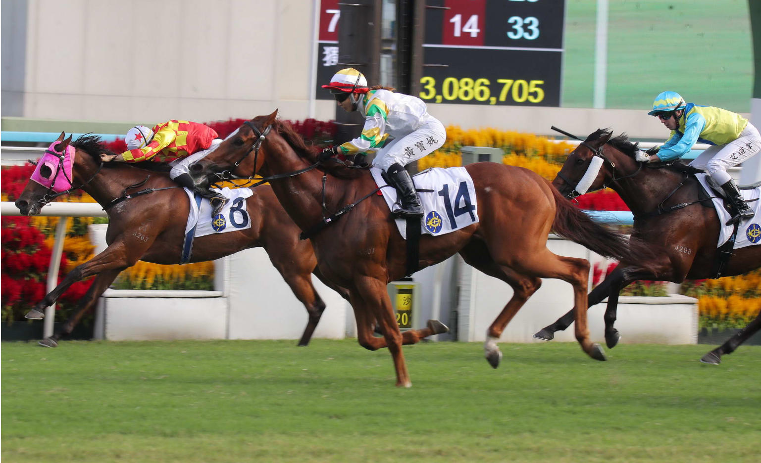 有片丨睿盛人生一出即贏捧樂聲盃 黃寶妮首奪錦標