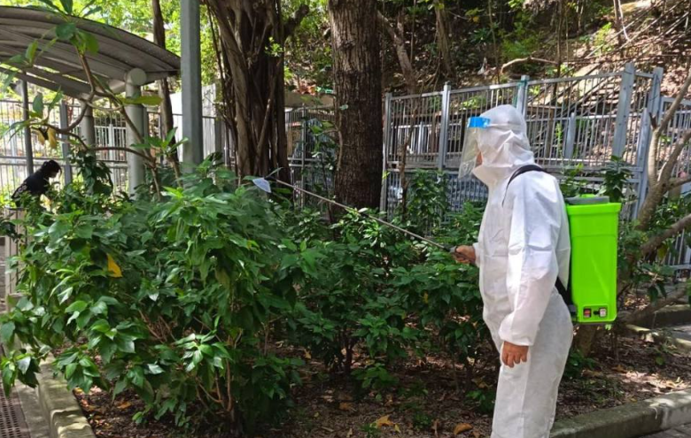 本港現首宗基孔肯雅熱個案 學校加強滅蚊及監察學生情況