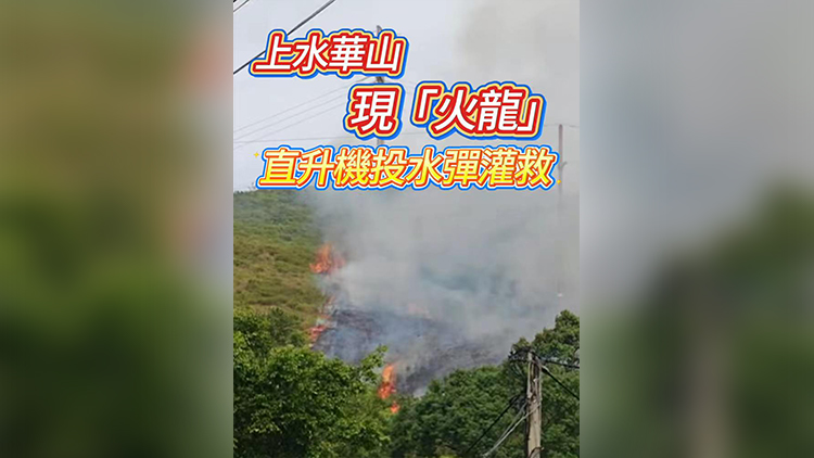有片丨上水華山現「火龍」 直升機投水彈灌救