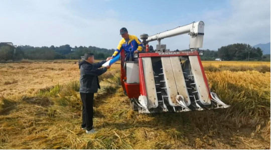 皖黟縣：農機護航保豐收