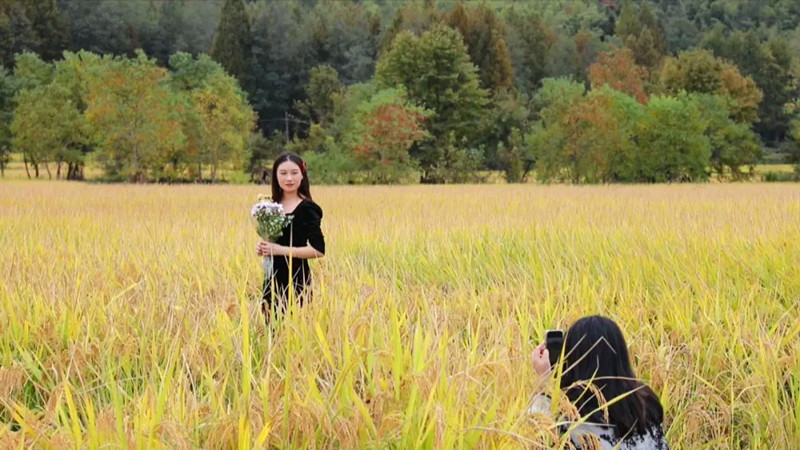 皖黟縣：賞秋成鄉游「爆款」