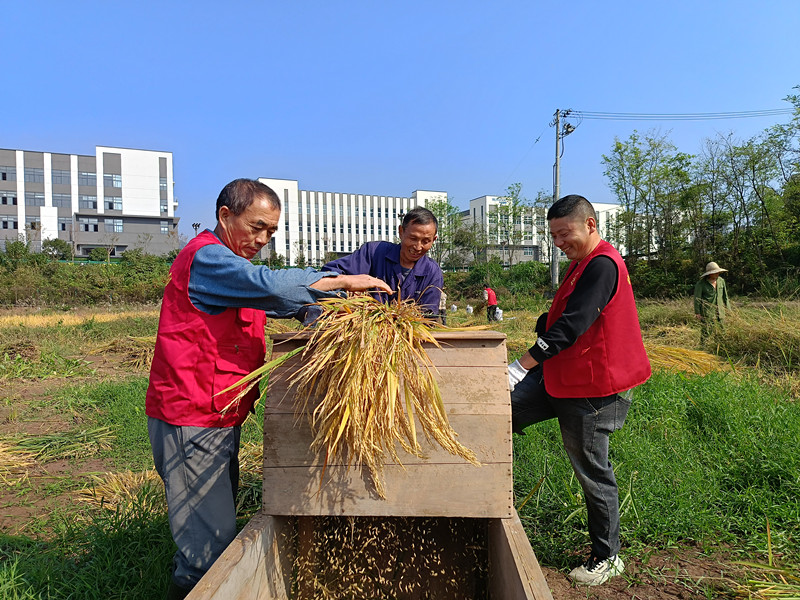 皖黟縣漁亭鎮：「紅色動能」激活基層治理末梢