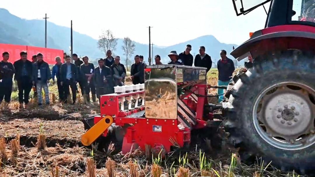 「現場觀摩+集中培訓」  皖祁門把培訓班辦進秋收一線