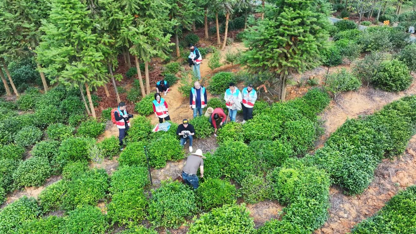 皖祁門縣：「星推官」特訓營圓滿結業