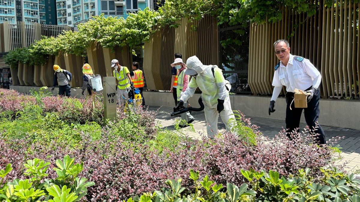 食環署：會在基孔肯雅熱患者確診後到住所進行滅蚊