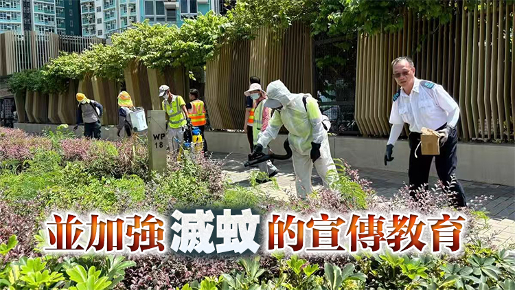 食環署：會在基孔肯雅熱患者確診後到住所進行滅蚊