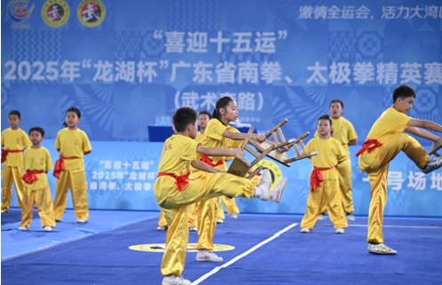 精英雲集武動龍湖：2025「龍湖杯」廣東南拳太極拳精英賽圓滿舉行